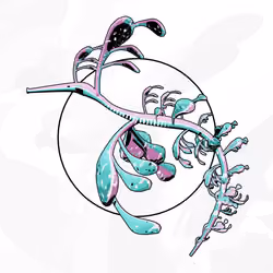 Seadragons #566