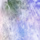 317000165