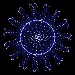 Nucleus #311