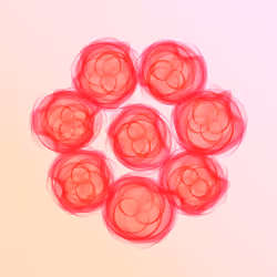 Flowers #3000