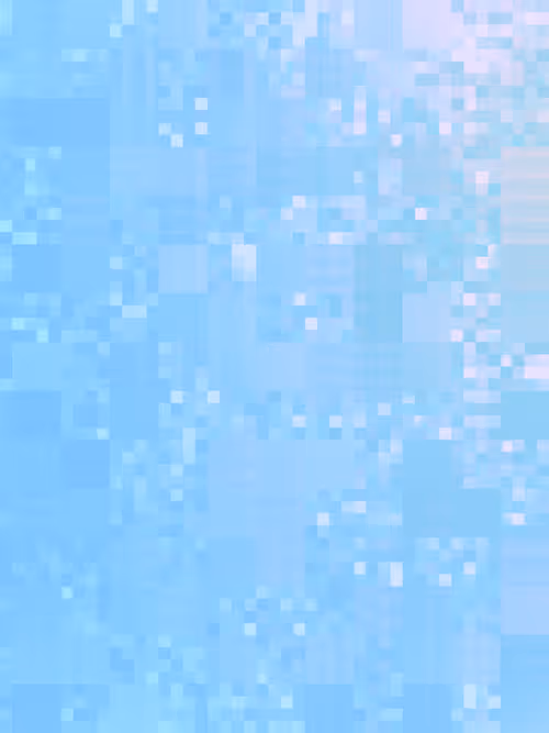 Item #332000208 Media