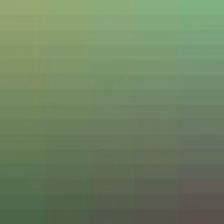 Color Study #778