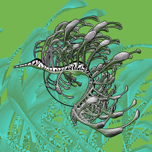 Seadragons #413