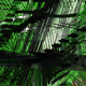 Augmented Sequence #271