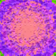149000186