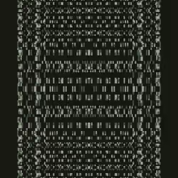 Warp #202