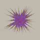 52000667