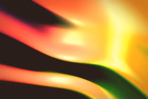 Item #296000294 Media