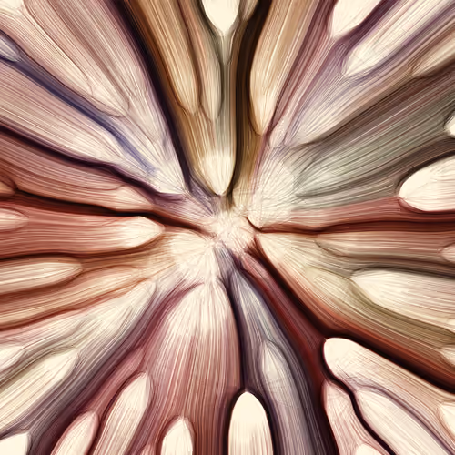 Gravity 12 #243