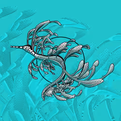 Seadragons #135
