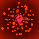 250000317