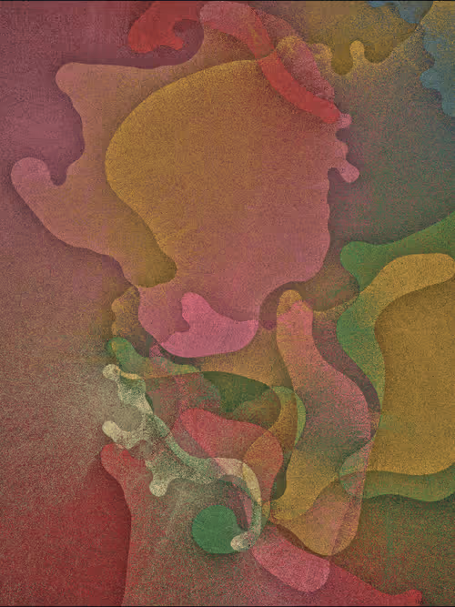 Item #256000557 Media