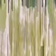 252000063