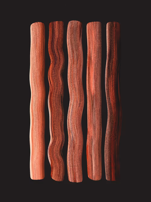 Item #364000014 Media