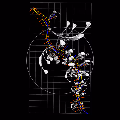 Item #160000998 Media