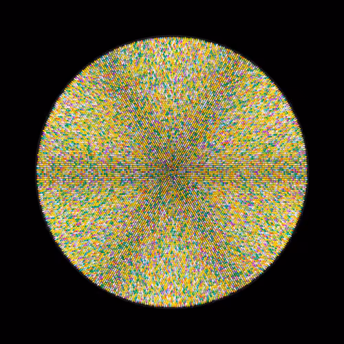 Transitions #561