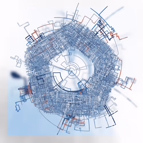 Item #265000077 Media