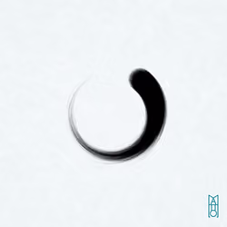 Ensō #322