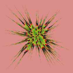 Star Flower #455