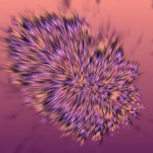 Item #68000251 Media