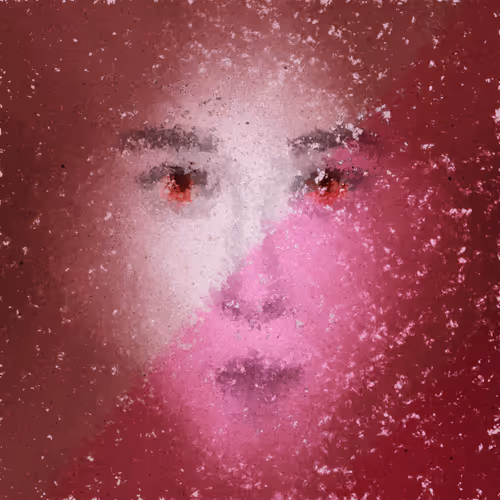 Item #323000312 Media