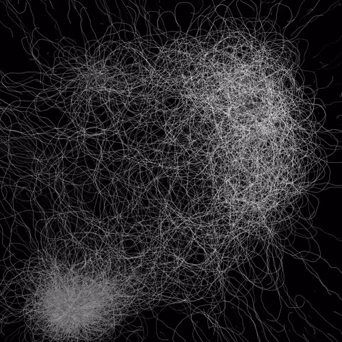 Item #164000018 Media