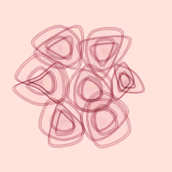 Flowers #1447