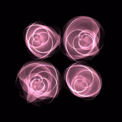 Flowers #5568