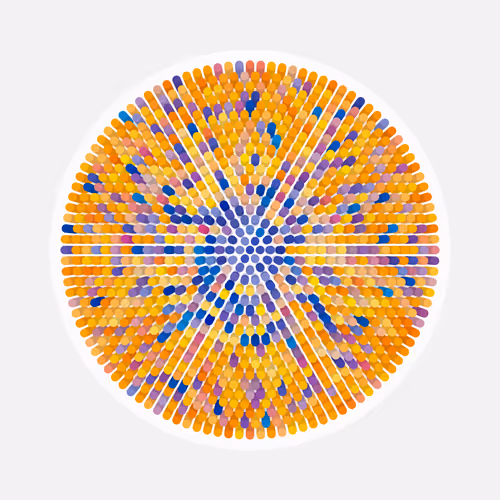 Transitions By Jason Ting X Matt Bilfield