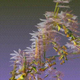 Item #279000045 Media