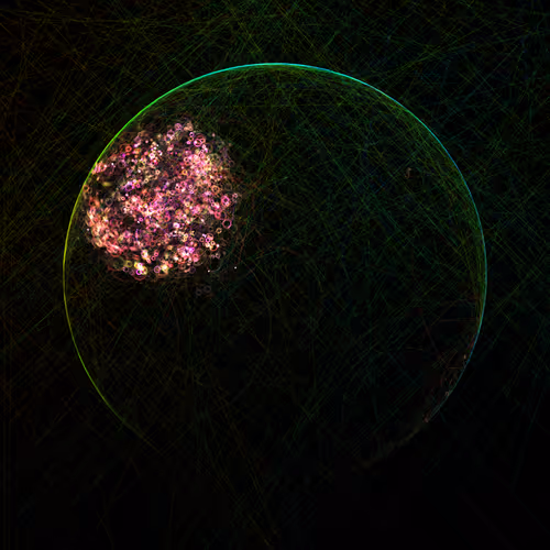 Item #178000164 Media