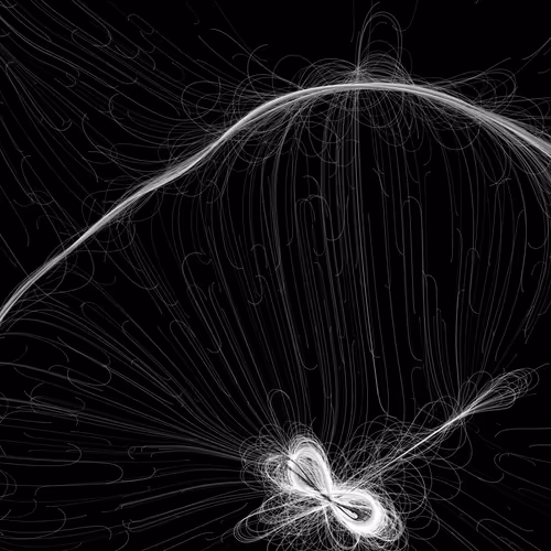 Phototaxis #989