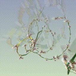 Item #279000031 Media