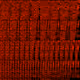 38000046