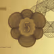 152000126