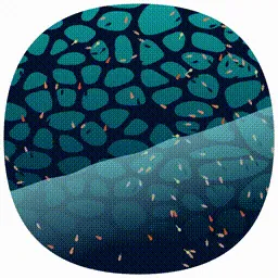 Item #107000150 Media