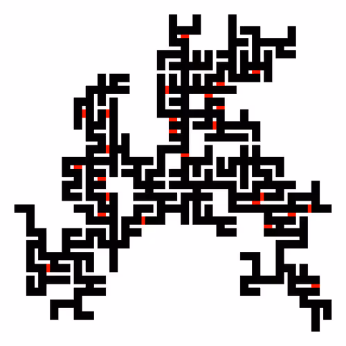 Invasion Percolation #29