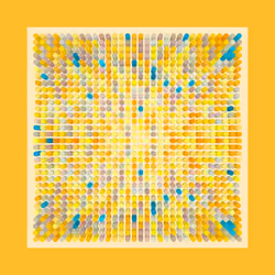 Transitions #1190