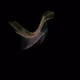 60000154