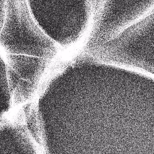 Item #320000470 Media