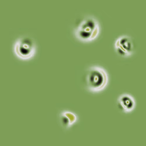 Quantum Collapses By Insight