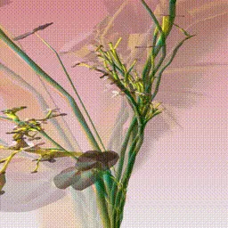 Item #279000040 Media