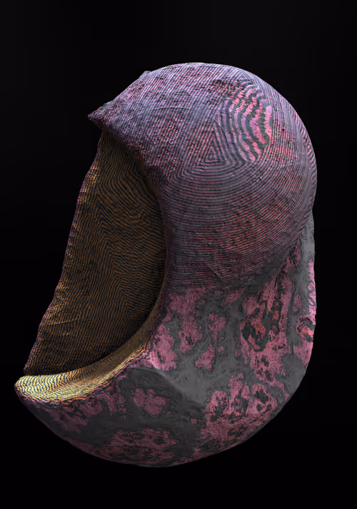 Item #327000006 Media