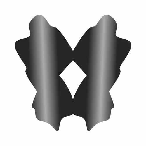 Item #161000738 Media