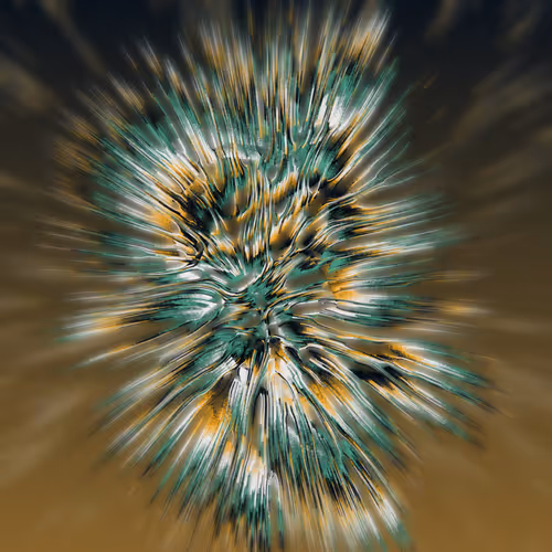 Item #68000281 Media