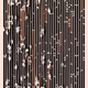 204000350