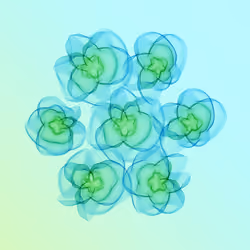 Flowers #3031