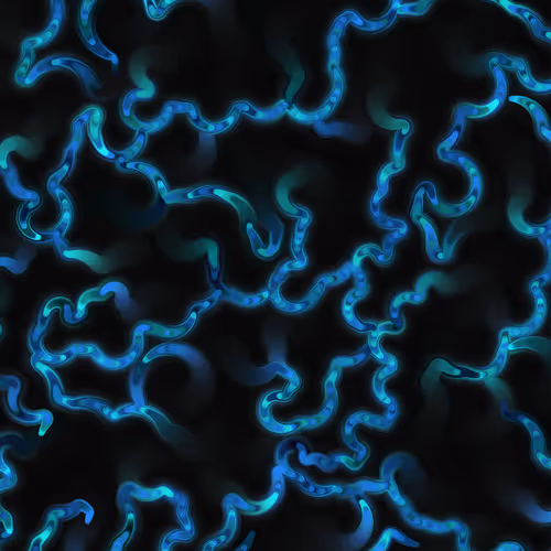 Item #269000096 Media