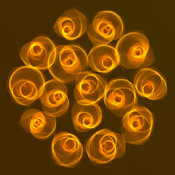 Flowers #3163
