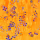 159000115